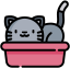 Cat Litter