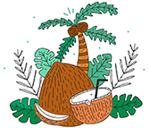 Coconut